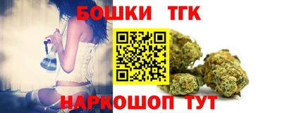 молекула духа Будённовск