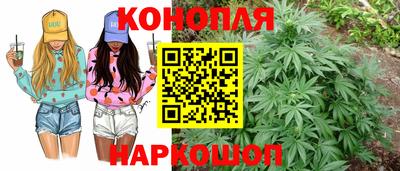 молекула духа Будённовск