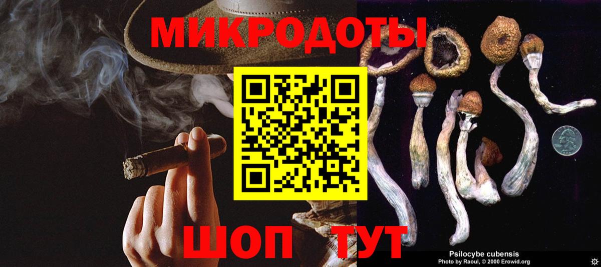 Псилоцибиновые грибы Magic Shrooms  Вход с VPN  Похвистнево 