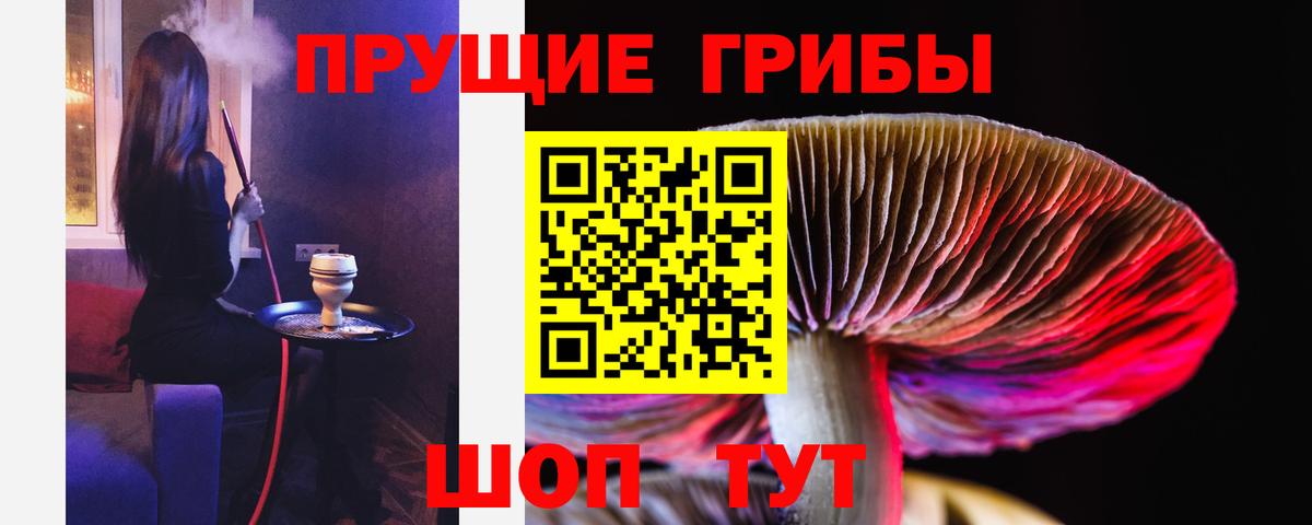 Галлюциногенные грибы прущие грибы Похвистнево